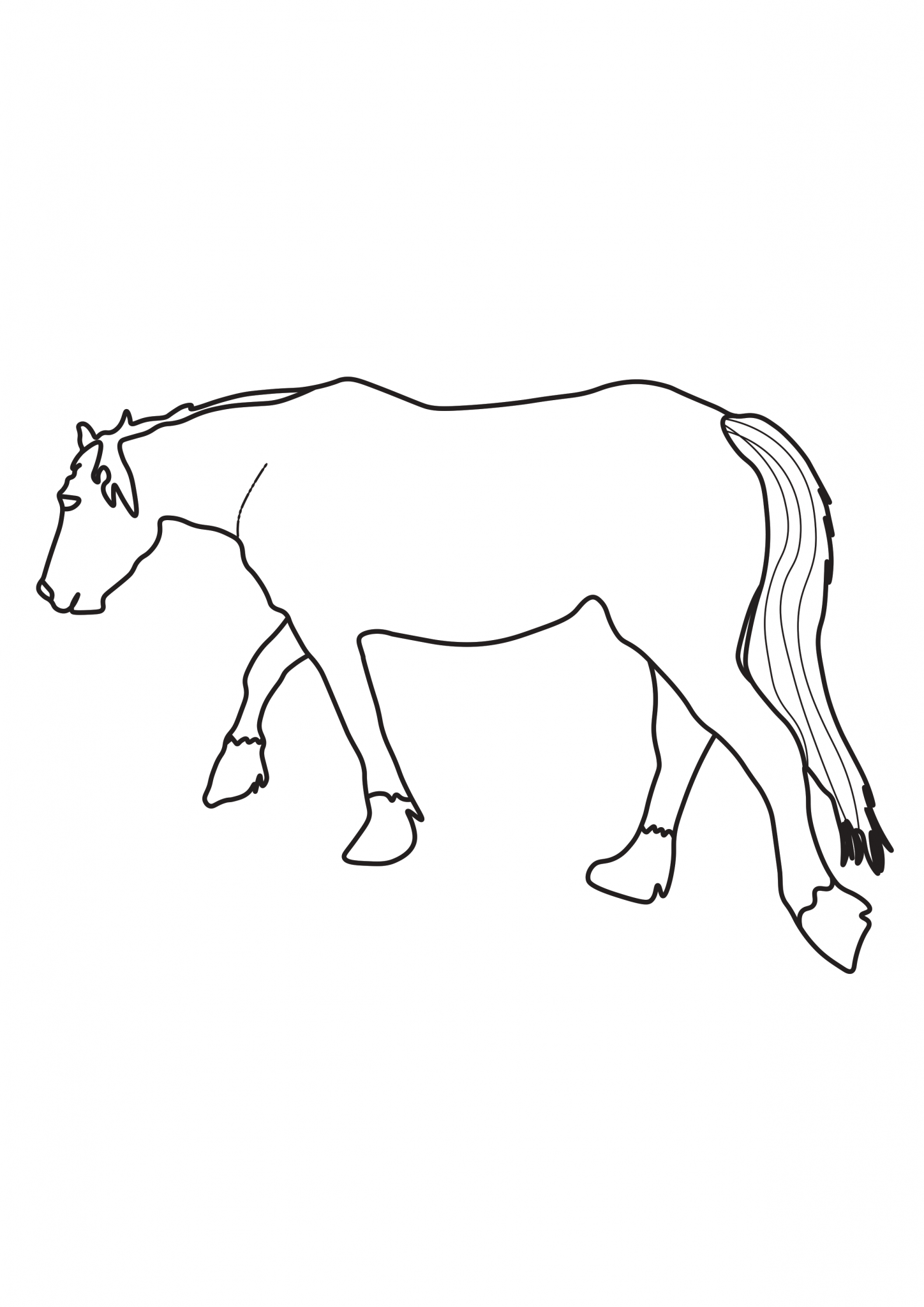 Horse